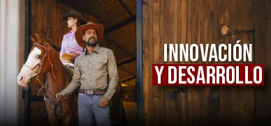 Innovación y desarrollo